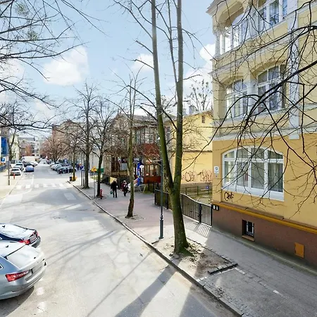 Blue Mandarin Iii Haffnera *