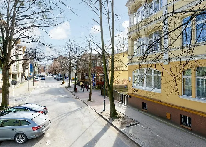 Blue Mandarin Iii Haffnera *